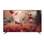 Nasco 32 LED Digital Satellite Television